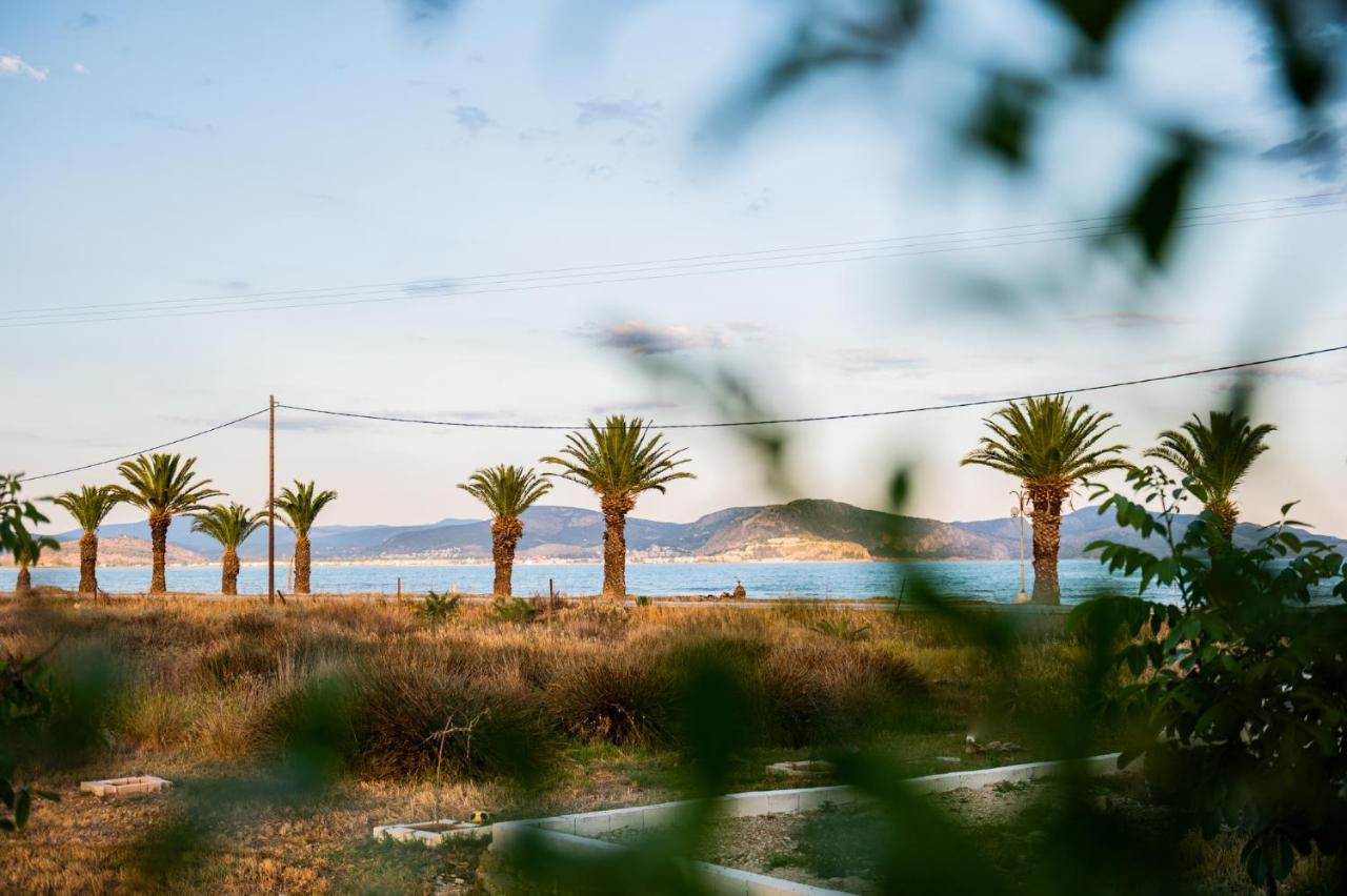 Sea View Residence Nea Kios Eksteriør bilde